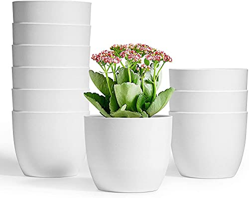 T4U 12cm übertöpfe für zimmerpflanzen 10 Stück, Blumentopf Plastik Klein Set Ideal für Innen und Draussen, Übertopf weiß für Orchideen Basilikum und Kräuter, Kleine Blumentöpfe für Alle Zimmerpflanzen