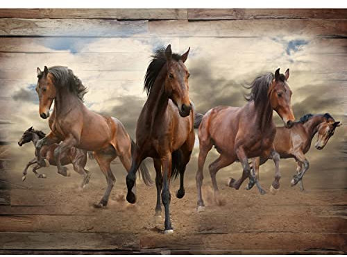 Runa Art Fototapete Pferde 352 x 250 cm Vlies Tapeten XXL Moderne Wandtapete Wohnzimmer Schlafzimmer Grün 9337011a