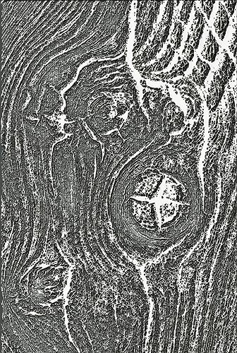Prägemappe Woodgrain, 3-D Texture Fades, von Tim Holtz