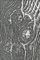 Sizzix 3-D Texture Fades Prägemappe Woodgrain von Tim Holtz | 666297 | Scrapbooking, Kartenherstellung, Journaling, Holzmaserung, One Size
