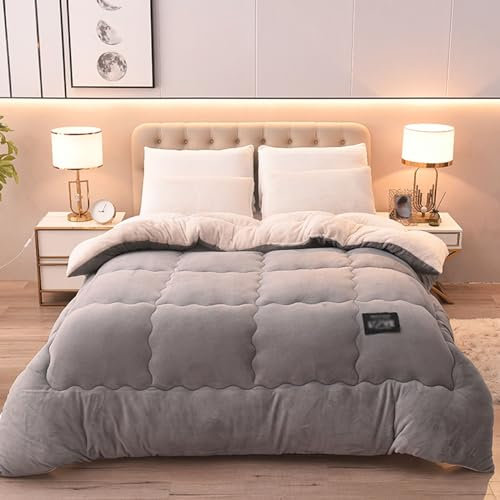 Winter Baumwolle Bettdecke,Flauschige Kaschmir Steppdecken für Allergiker Duvet, Verdicken Sie Lamm Kaschmir Decke Winter Weiche Warme Bettdecke,Steppdecke 150x200cm 2.5kg