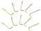 MUCKLILY 1bag Shape Copper Plating Self-tapping Screws for Light-duty Home Applications Shape Screw Hooks Easy to Use for Hanging Items from Walls