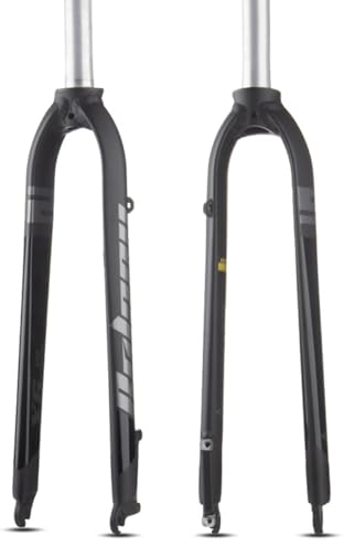 LHHL Fahrradgabeln Alu Starrgabel 29 Zoll Ultraleicht MTB Fahrradgabel 28,6mm Gerades Rohr Scheibenbremsgabel QR 9mm Ultra-Licht MTB Straße XC Fahrradzubehö 800g