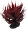 ReptiPlanet Plante suculente Agave Rouge 18 cm