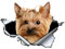 Autoaufkleber Yorkshire Terrier Aufkleber 15cm(5.9 Inch) Yorkshire Terrier 3D Zerrissen Reflektierende Autoaufkleber Haustier Hund Wasserdichte Aufkleber Laptop Stoßstange Lustig Dekor