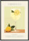 MJ-GRAPHICS® Poster Limoncello Bilder Küche Bild A2 Küchenbilder Deko Wohnzimmer Poster Küchen Bilder Küche Deko Bilder Zitrone Poster Küche Wand Retro Poster Cocktail Küchenposter - ohne Rahmen