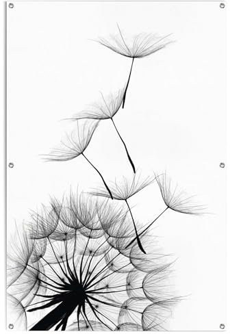 REINDERS Gartendeko, Pusteblume, Garten, Bilder, Wanddeko, Room Decor, Leinwand, Schwarz-Weiß, 120 x 80