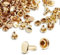 Prasacco Lot de 200 Rivets Ronds 6 mm Pour Cuir - Double Capuchon, Métal - Bricolage, Réparation de Sac à Main en Cuir