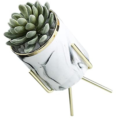 DIKACA Jardinière Hydroponique Jardinières en Céramique Jardinières Géométriques en Céramique Vase Tube De Verre Vase Tube à Essai Cache-Pot en Céramique Terre Cuite Grise Nordique Plante