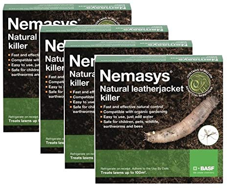 Nemasys Leatherjacket Killer nematode treatment (400 sqm)