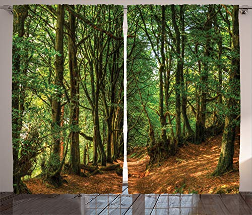 ABAKUHAUS Wald Rustikaler Gardine, Wald Pathway Szene, Schlafzimmer Kräuselband Vorhang mit Schlaufen und Haken, 280 x 175 cm, Braun Grün
