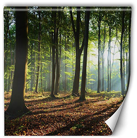 Feeby Poster mural xxl forêt 200x200 cm marron Papier intissé Colle fournie