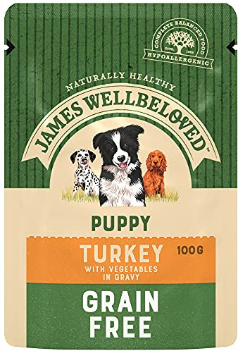 James Wellbeloved Junior Grain-Free Turkey in Gravy 12 Pouches, Hypoallergenic Wet Dog Food for Puppies, Pack of 1 (12x100 g)