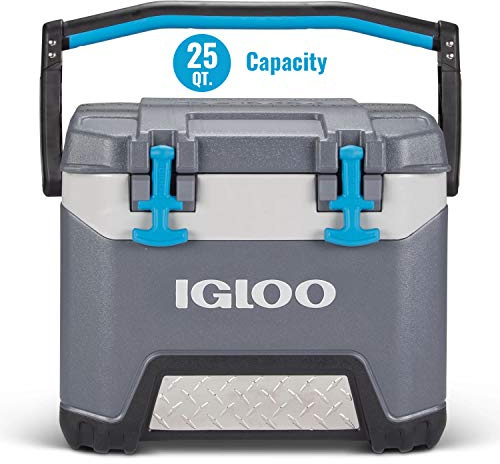 IGLOO BMX 25 Nevera, Outdoor, Gris, 19 litros