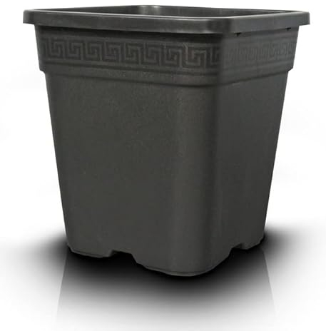 PASQUINI BINI Pot carré Décoré 30,5 x 30,5 x 30,5 cm 18L