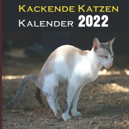 Kackende Katzen Kalender 2022: 12 Monate , Lustiges Geschenk für Katzen liebhaber | Kackender Katzen | Geschenke für Männer , Frauen , Freunde , ... für Weihnachten, Neujahr, Geburtstag ...