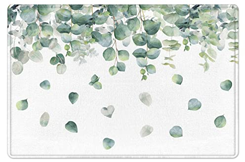 LB Grünes Eukalyptus Blatt Badematte Aquarell Pflanzen Fußabtreter 60x40cm Weiß rutschfest Weich Saugfähig Waschbar Bodenmatte zum Tür Bad Schlafzimmer Innen Dekoration