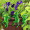 3 Stück Deko Garten Frosch Figuren, Hängende Frösche Miniteich Deko, Gartendeko Frosch Statue, Niedlichen Garten Zubehör für Teichschale Miniteich Terrassenteich Zinkwannen Pflanzschale Garten Balkon