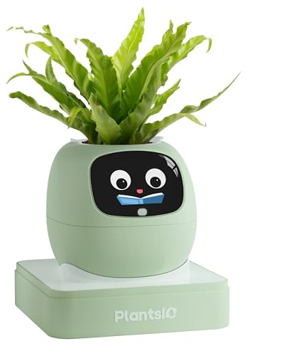 PLANTSIO Maceta inteligente de hiedra para decoración del hogar, plantas, compañera, configuración ordenada de escritorio, regalo, maceta para mascotas, guía robótica para el cuidado de plantas con