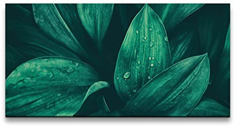 Paul Sinus Leinwandbild 120x60cm Grüne Blätter Wassertropfen Fotokunst Dekorativ