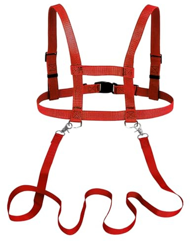 Pferdeleine zum Spielen für Kinder Pferd Seil verstellbare Größe, Geeignet für Outdoor-Aktivitäten wie Rollenspiele beim Reiten (Rot)