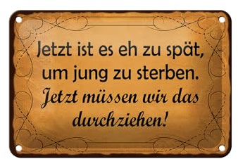Femer Blechschild Spruch 12x18 cm zu spät um jung zu sterben Deko Schild