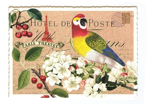 Edition Tausendschön 'Papagei PK982 Postkarte Größe: 10,5x15 cm