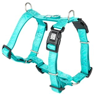 Max & Molly Hundegeschirr Matrix 2.0 Türkis/L in H-Form, für Hunde mit Gotcha! Smart ID, Geschirr Hund, Neopren Gepolstert & Reflektierende Nähte - Komfort für deinen treuen Begleiter