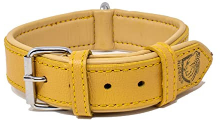 Riparo Echtes Leder Verstellbares K-9 Hundehalsband mit Zusätzlicher Verstärkung (XXL: 5CM Breit für 60,9CM - 73,7CM Hals, Kamel)