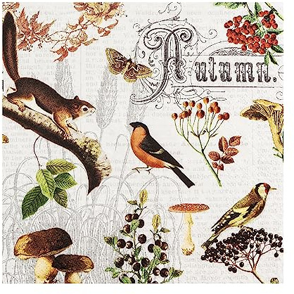 HOME FASHION Serviette Herbst Collage 33x33cm 20 Stück Papierserviette Tischserviette Serviettentechnik