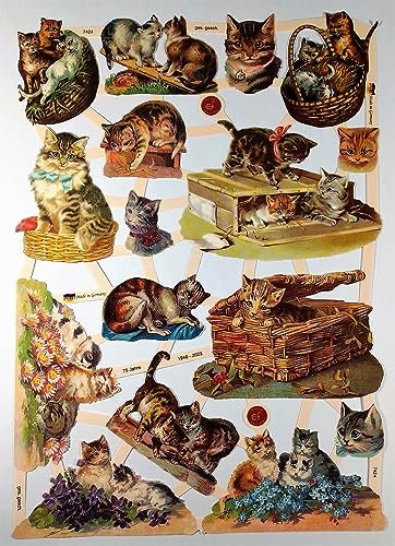 Katze Kätzchen EF 7424 Glanzbilder Glanzbild Bild Posiebilder Scrapbook Deko GWI 478
