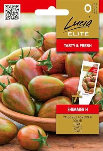 Lucia Elite | Tomate Shimmer H samen | Gemüsesamen | Pflanzensamen | Tomatensamen | Garden samen | Eine frühe, sehr ertragreich, mit aussergewöhnlich hübsch gezeichneten Pflaumentomaten | 1 Pack