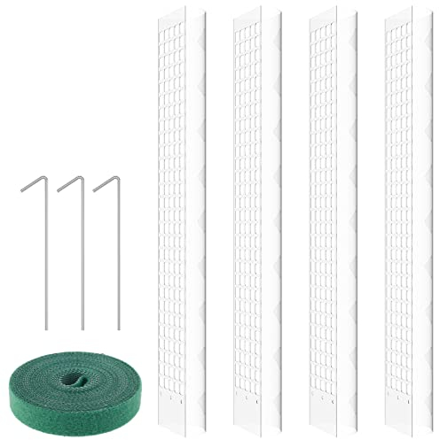 Monstera Lot de 4 tuteurs Monstera en plastique de 60 cm avec 1 ruban pour plantes flexible avec 3 clous Convient pour pot extensible avec tuteur Monstera pour le soutien (4 pièces)