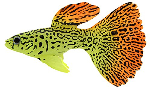 Tonsee Accessoire Kunststoff Dekor Geschenk Fish Gold Aquarium Tank Faux Orname Schwimmen Aquarium Zubehör Aquarien Zubehör-89 (C, One Size)