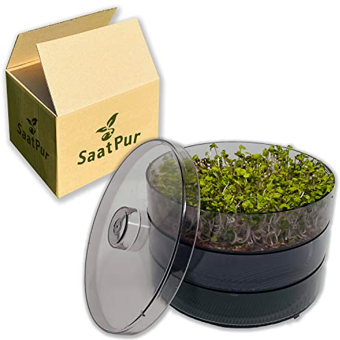 SaatPur® Keimsprossenbox Set 2 mit Zwei Etagen als Sprossen Keimgerät: Sprossen Anzucht sowie Microgreens Anzuchtschalen. Keimbox, Keimschale, Keimschachtel, Sprossenbox, Sprossenhaus, Keimgerät