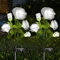 NEWNEN Solar Lights Outdoor, 2 Pack Garden Lights With 10 Bigger White Rose, Waterproof Flower Lighting for Lawn Patio Pathway Party Wedding