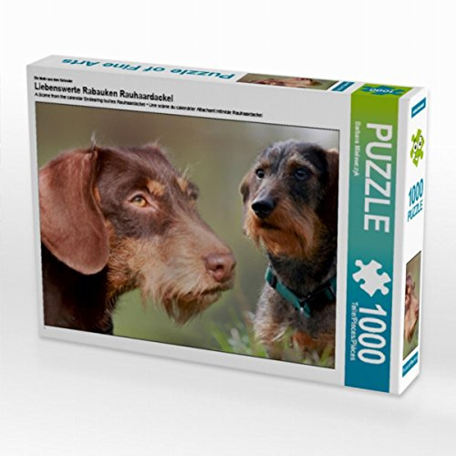 CALVENDO Puzzle Hunderasse Rauhaardackel 1000 Teile Lege-Größe 64 x 48 cm Foto-Puzzle Bild von Barbara Mielewczyk Mielewczyk, Barbara