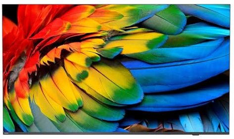 Philips 43HFL6214U Display arrotolabile 109,2 cm (43) 4K Ultra HD Smart TV Wi-Fi Antracite