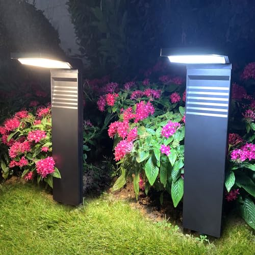 calflux Solarlampen für Außen Garten, Solar Wegbeleuchtung für Außen 2 Stück,Wasserdicht weihnachtsbeleuchtung solar 2 Modi,Wetterfest Gartenleuchte für Garten Gehweg Rasen Weg (kaltes Weiß/Warmweiß)