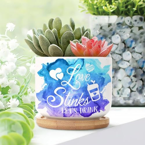 Yelolyio Love Stinks Let's Drink Pot de fleurs en céramique avec citations en forme de serpent avec pot avec trous de drainage et soucoupes pour plantes d'intérieur et d'extérieur