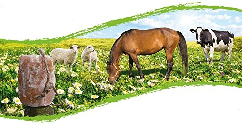 Biova Mineralleckstein/Salzleckstein 3-3,5kg 2 Stück