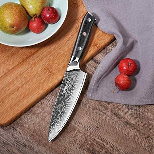 Cuchillo del cocinero 8 '' Cuchillo Chef 73 capas de Damasco de acero japonés VG10 cuchilla cuchillos de cocina de la manija G10 cortador de la carne 6,5 '' cuchillo del cocinero ( Color : 6.5 inch Ch