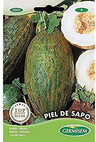 Germisem graines Melon PIEL DE SAPO