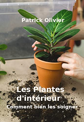 Les Plantes d'intérieur: Comment bien les soigner