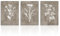 Dazzlewall Boho Vintage Botanical Leinwand Bilder Minimalistische Blumen Wandbilder für Bauernhaus Wohnzimmer Dekor 30X40 cm Ohne Rahmen 3er Set