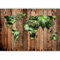 murando - Papier peint panoramique Carte du monde 350x256 cm - Revêtement mural décoration salon - Design moderne - Abstraction bois jungle feuilles cartes nature plantes monde k-C-0110-a-a