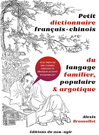Petit dictionnaire français-chinois du vocabulaire familier, populaire & argotique: Avec près de 2000 termes chinois et presque autant d'exemples