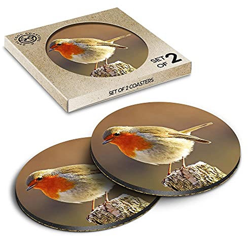 Lot de 2 dessous de verre en liège écologique – Robin Redbreast Bird Animals Oiseaux Tasse Tasse en verre #8701