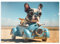 MyPuzzle Lustige Bulldogge fährt Auto - Premium 500 Teile Puzzle - MyPuzzle Sonderkollektion von Starnberger Spiele