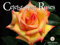 Celebrating Roses 2024 Calendar